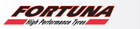 Fortuna